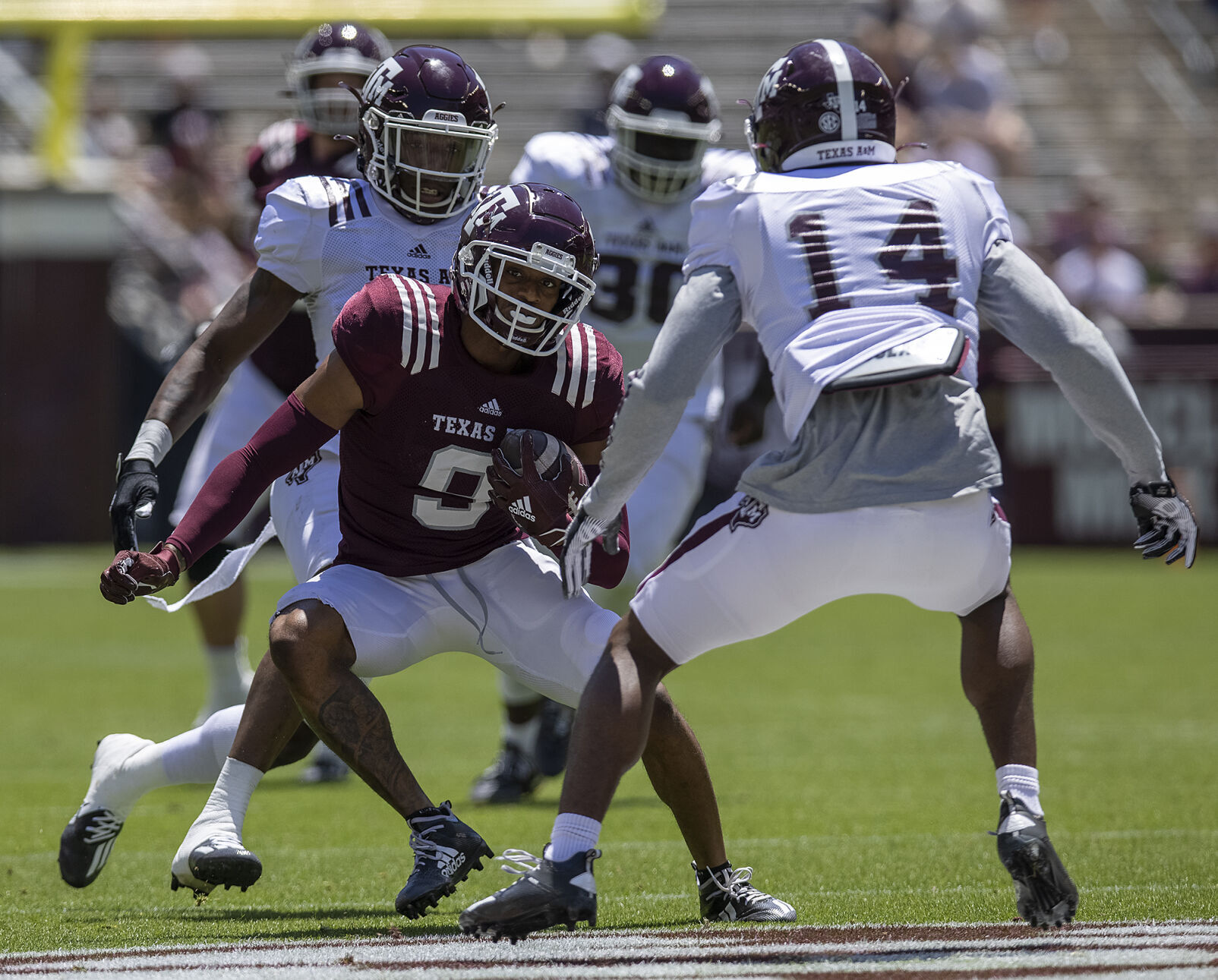 Maroon & White